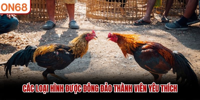 C&aacute;c loại h&igrave;nh được đ&ocirc;ng đảo th&agrave;nh vi&ecirc;n y&ecirc;u th&iacute;ch