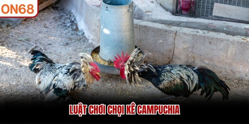 Luật chơi chọi k&ecirc; Campuchia